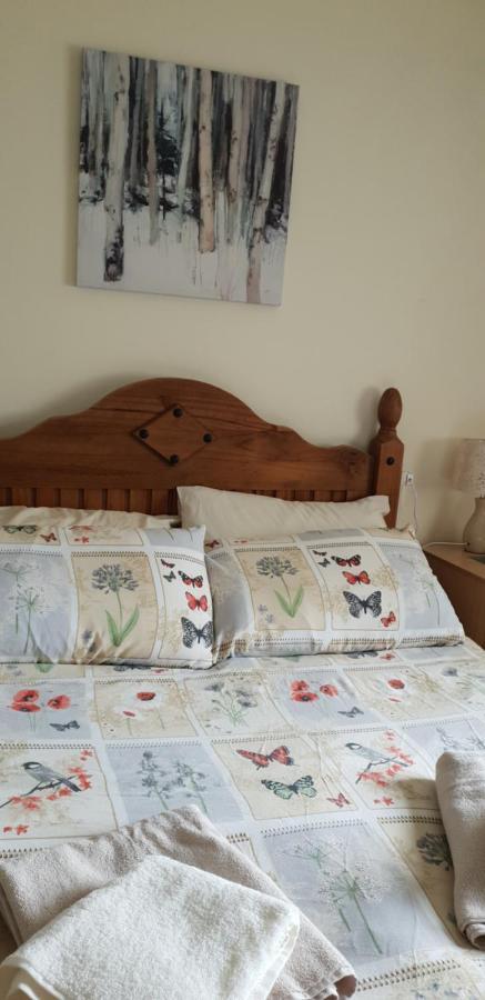 Comfy Quiet Town House Villa Strabane Exteriör bild